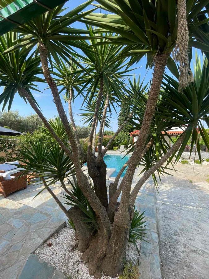 Vila Kalimera Private Pool 네아 포티데아 외부 사진